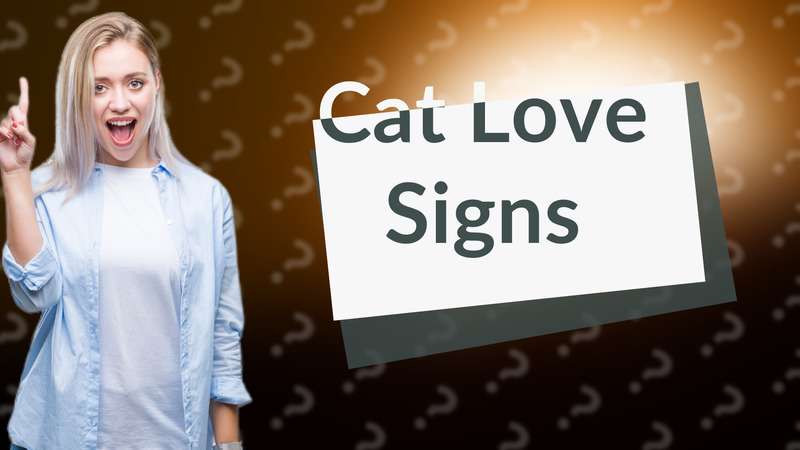 Cat Love Signs
