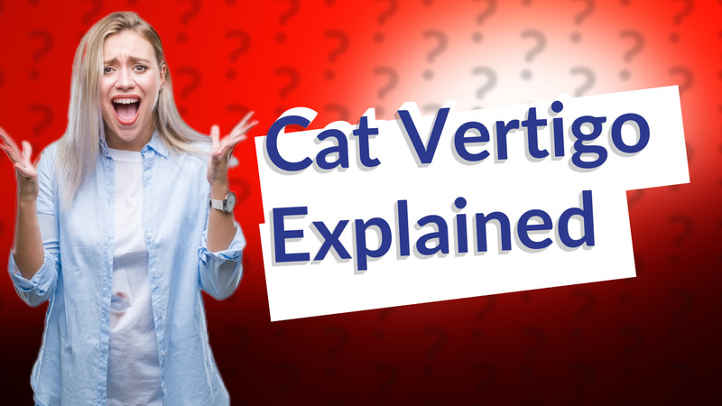 Cat Vertigo Explained