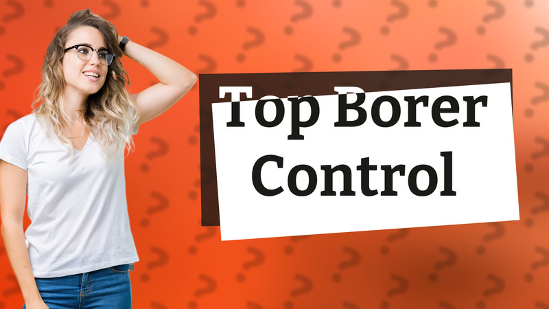 Top Borer Control