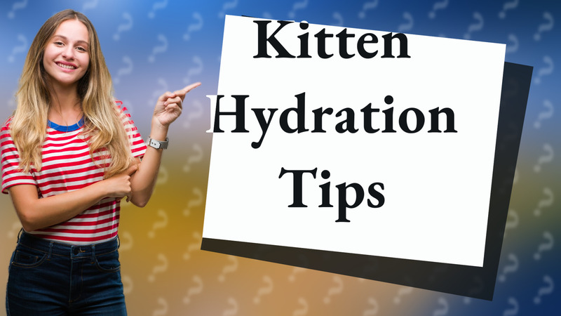 Kitten Hydration Tips