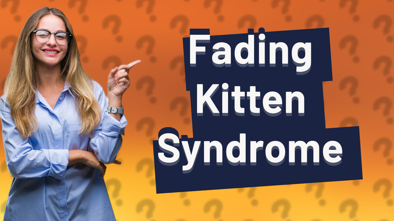 Fading Kitten Syndrome