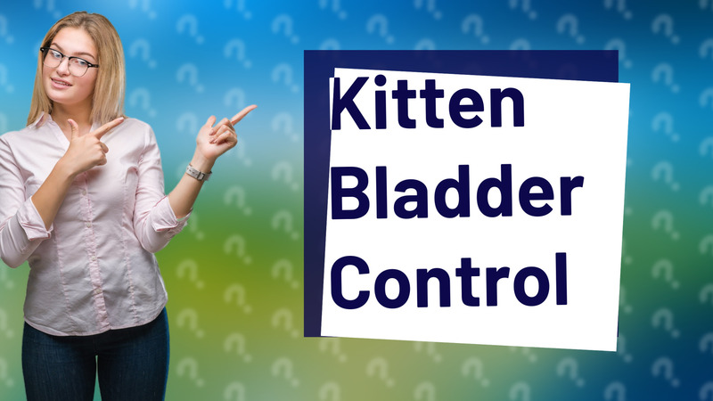 Kitten Bladder Control