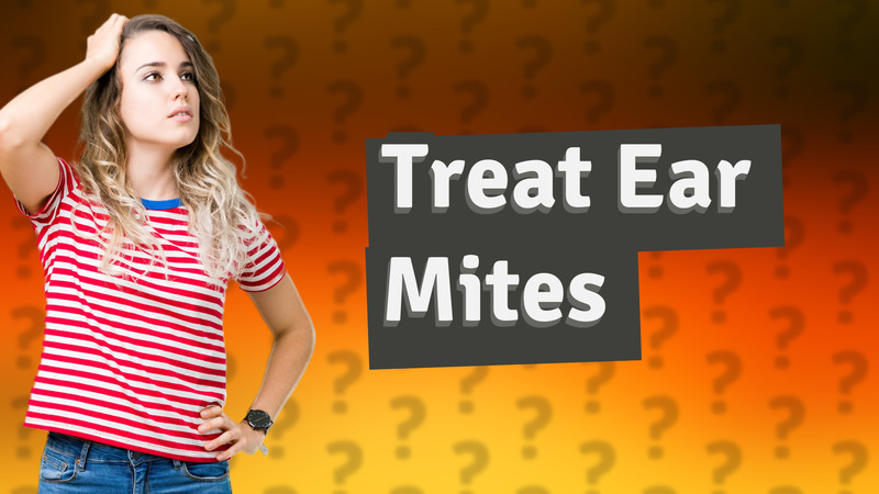 Treat Ear Mites