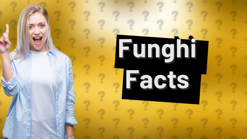 Funghi Facts