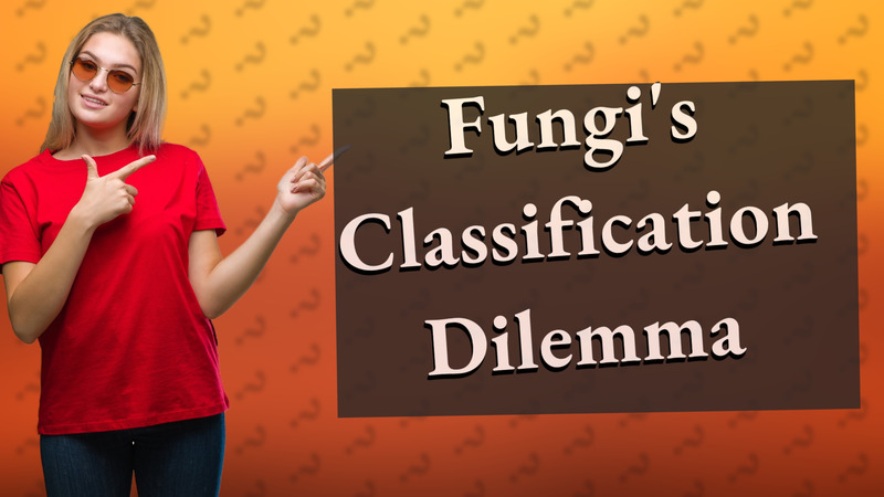 Fungi's Classification Dilemma