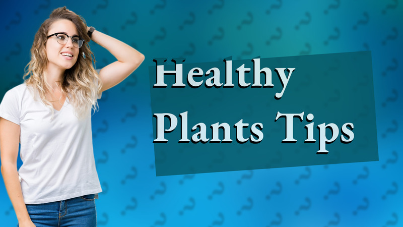 Healthy Plants Tips