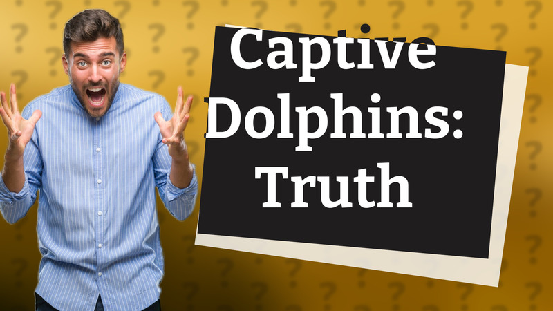 Captive Dolphins: Truth