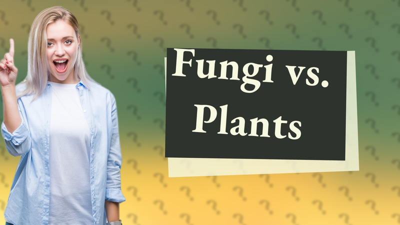 Fungi vs. Plants