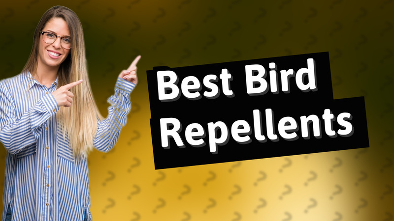 Best Bird Repellents