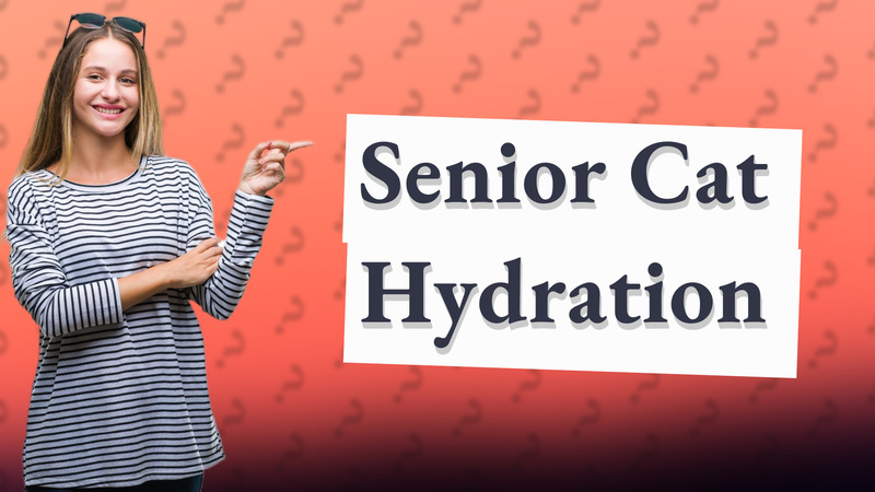 Senior Cat Hydration