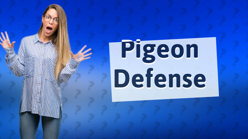Pigeon Defense