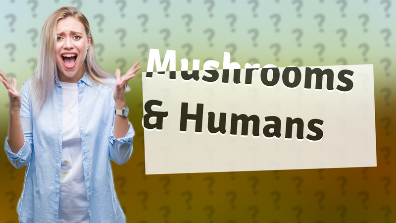 Mushrooms & Humans