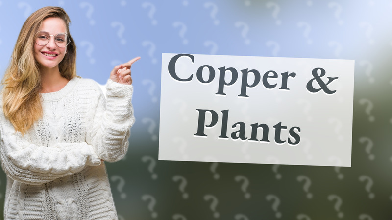 Copper & Plants