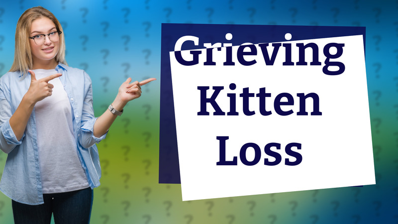 Grieving Kitten Loss