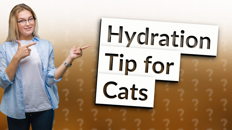 Hydration Tip for Cats