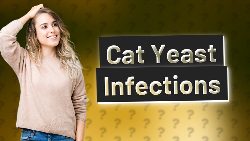 Cat Yeast Infections