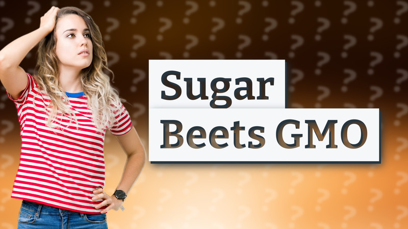 Sugar Beets GMO