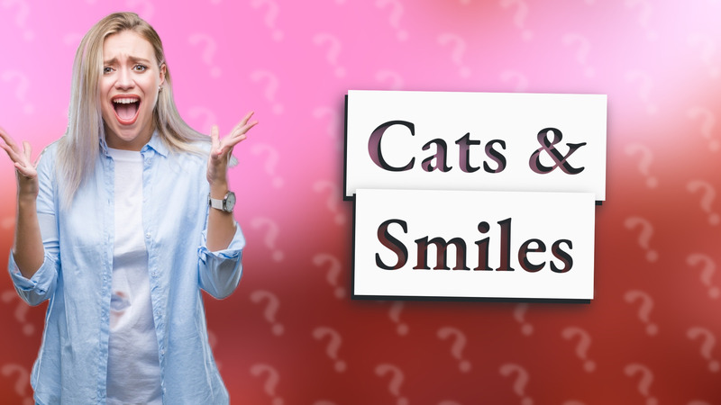 Cats & Smiles
