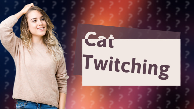 Cat Twitching