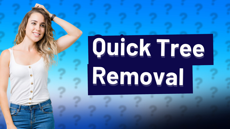 Quick Tree Removal