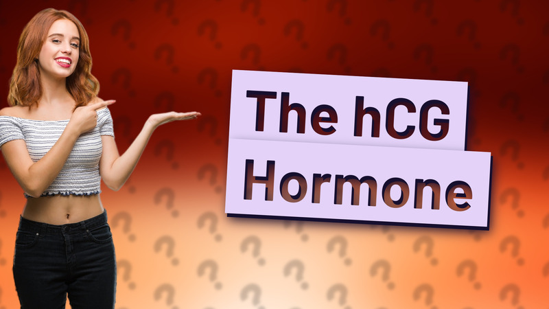The hCG Hormone