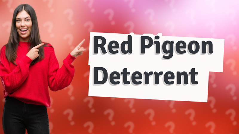 Red Pigeon Deterrent