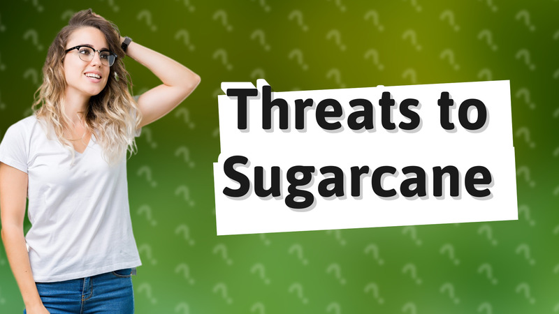 Threats to Sugarcane