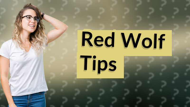 Red Wolf Tips