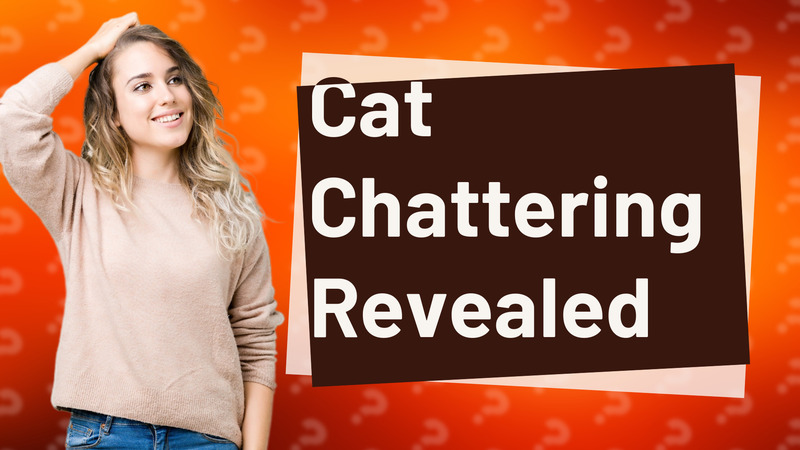 Cat Chattering Revealed