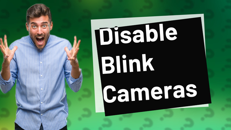 Disable Blink Cameras