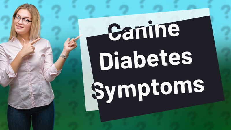 Canine Diabetes Symptoms