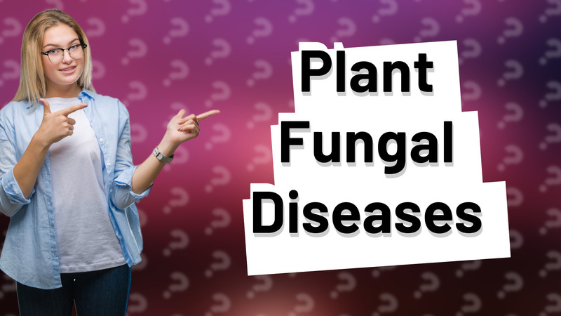 Plant Fungal Diseases