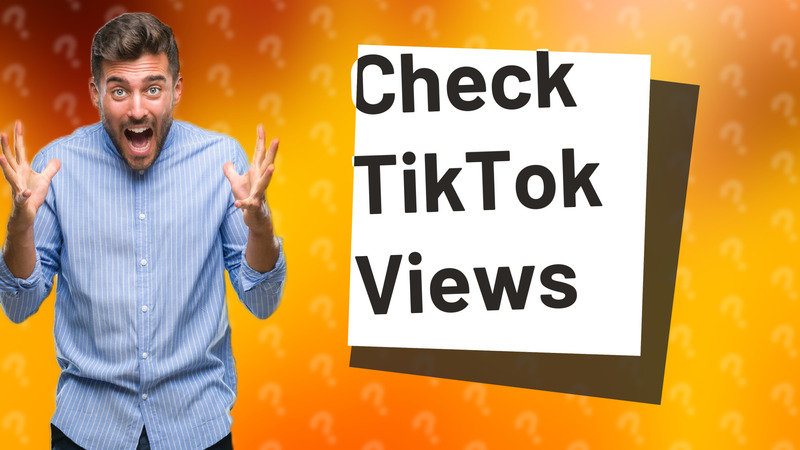 Check TikTok Views