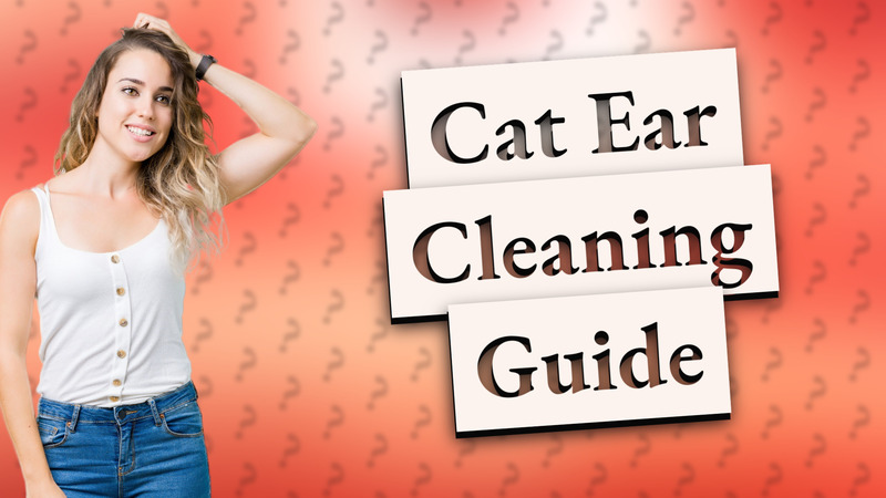Cat Ear Cleaning Guide