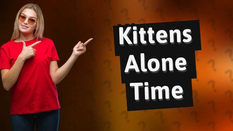 Kittens Alone Time