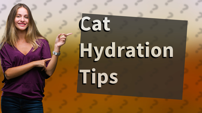 Cat Hydration Tips
