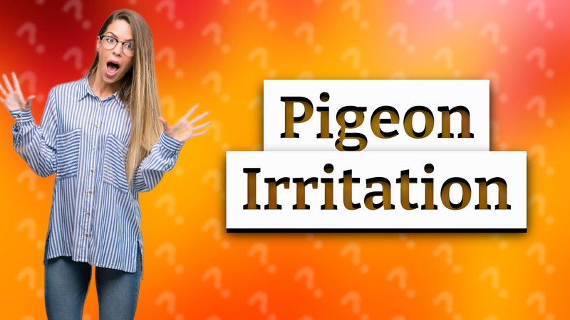 Pigeon Irritation