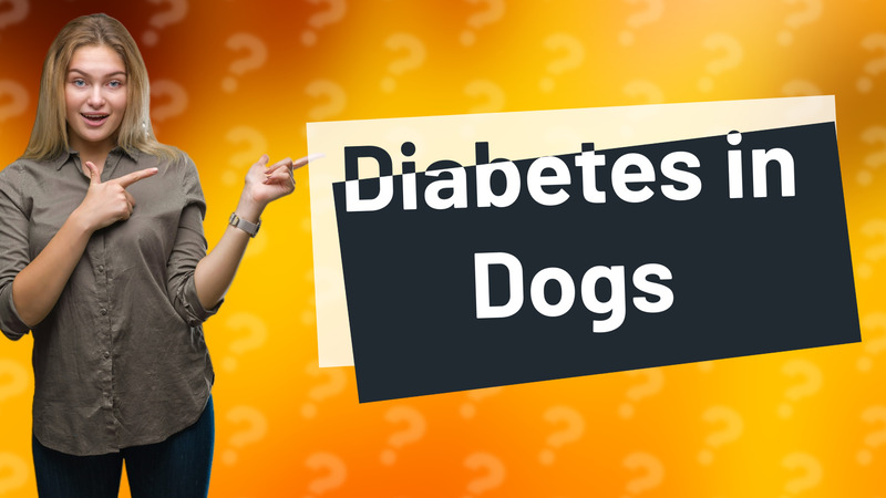 Diabetes in Dogs