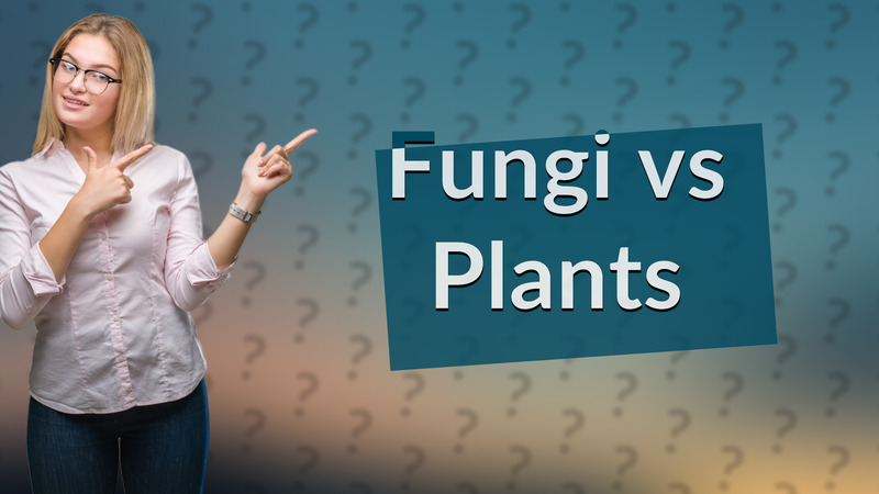Fungi vs Plants