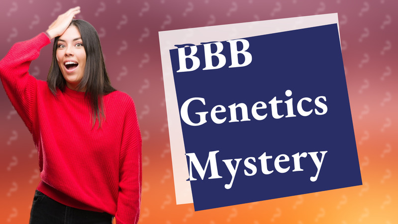 BBB Genetics Mystery