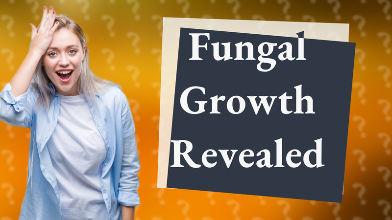 Fungal Growth Revealed