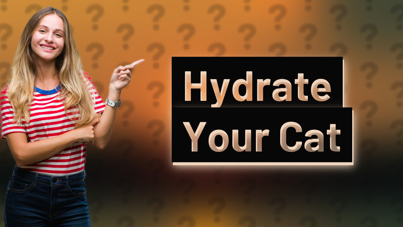 Hydrate Your Cat