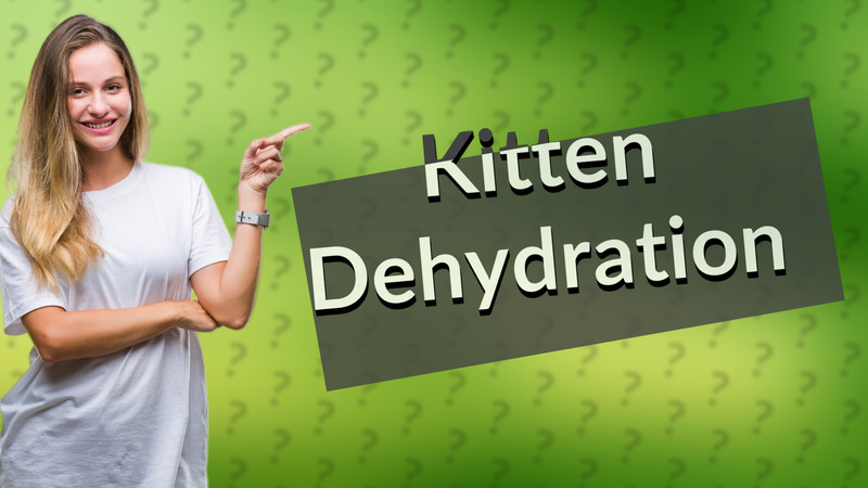 Kitten Dehydration
