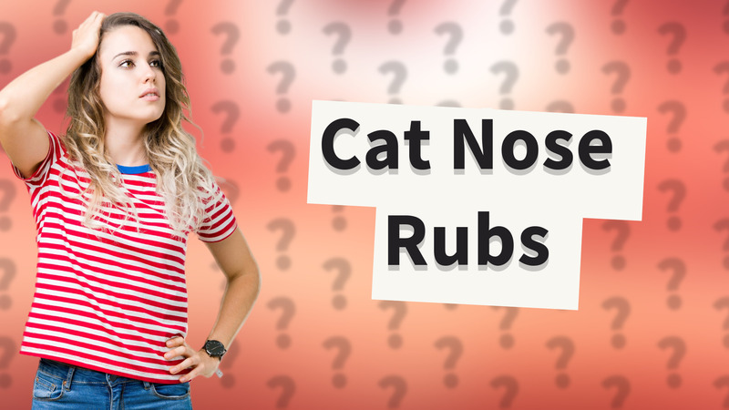 Cat Nose Rubs
