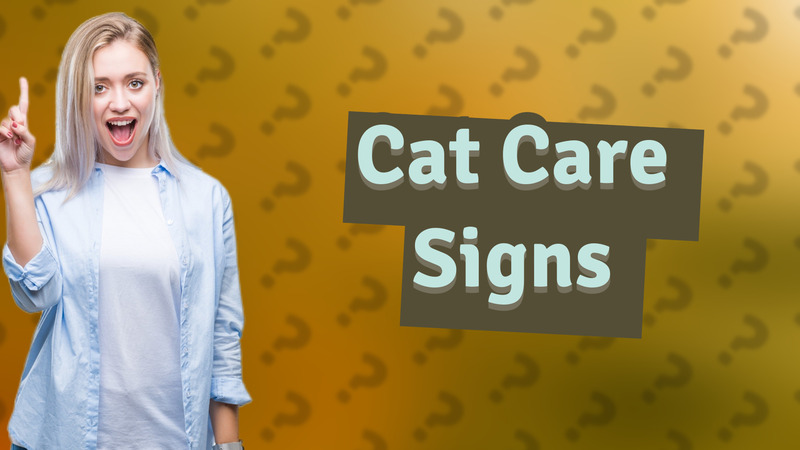 Cat Care Signs