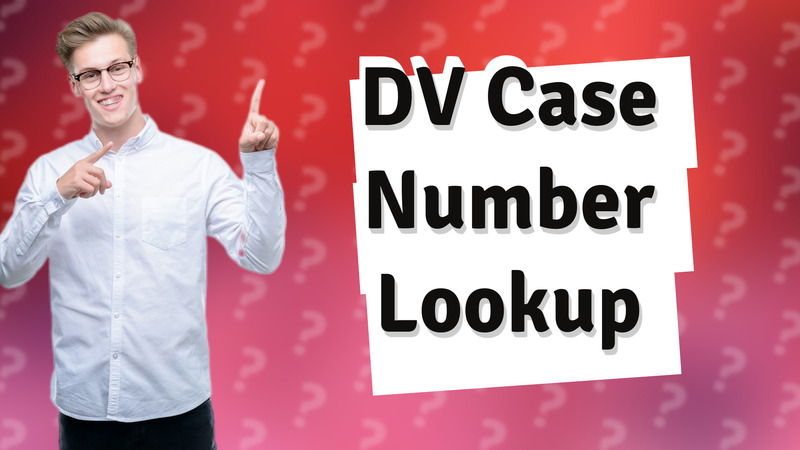 DV Case Number Lookup