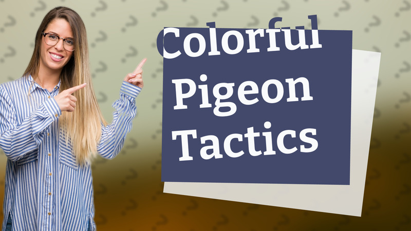 Colorful Pigeon Tactics