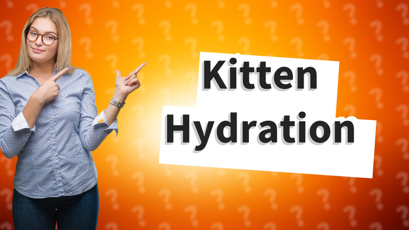Kitten Hydration