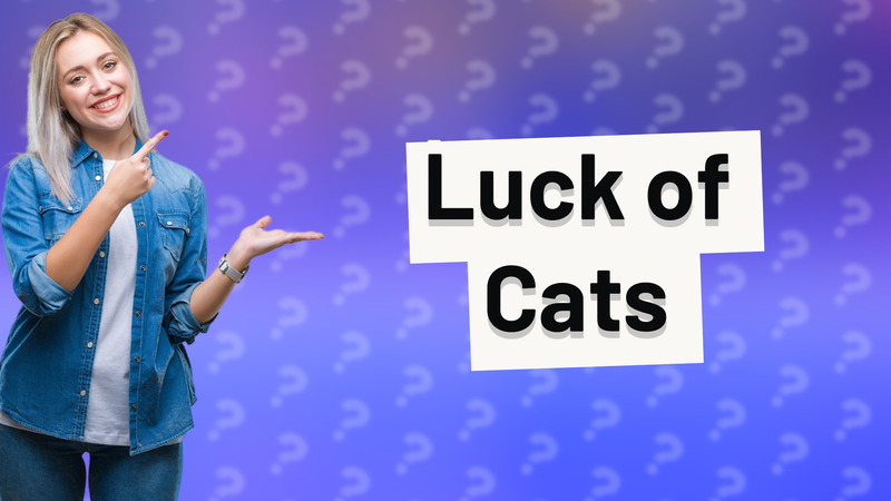 Luck of Cats