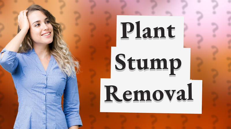 Plant Stump Removal